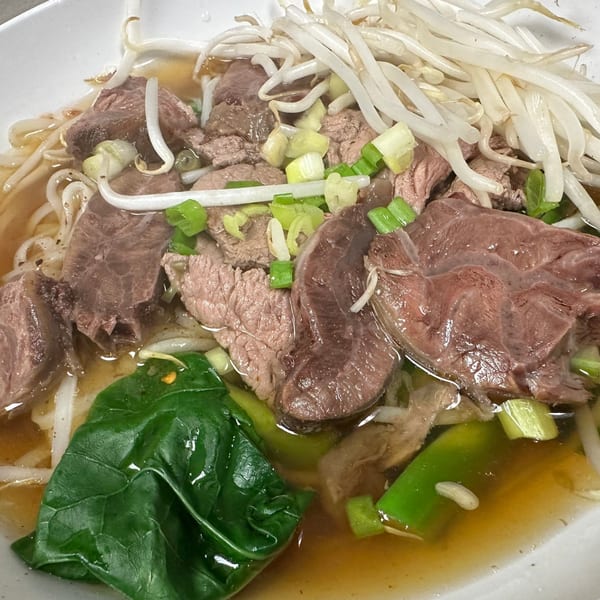 Close-up of Thai beef noodle soup with bean sprouts, green onions, and spinach in a white bowl.